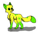 limelight