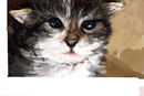 kittyof--the-second-fl kittyof--the-second-fl
