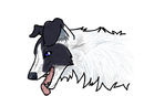 collie