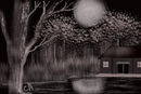 bayou-at-night bayou-at-night