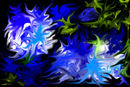 untitled-1