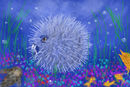 big-puffer-fish