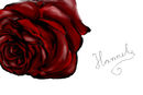 rose