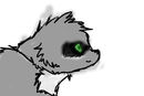raccoon-quick-sketch-c