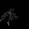 dancer by GDragon