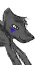 wolf-shading-and-sketc wolf-shading-and-sketc