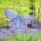 forestbutterfly by vina
