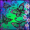 butterflies by mudpuddle