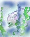 fishy fishy