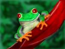 frog