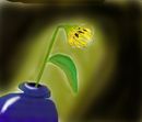 the-poor-sunflower