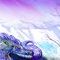 icedragon by summer