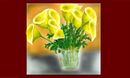 yelow-calas