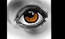 eye