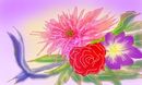 bouquet