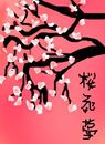 sakura-flower-dream sakura-flower-dream
