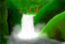 mossy-falls