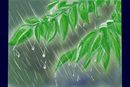 again-in-the-rain