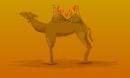 camel-aflame