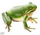 froggie