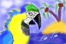 meh-first-parrot