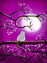 midnight-blossoms