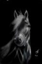 hors