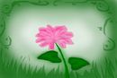 lonely-flower