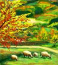 landscape landscape