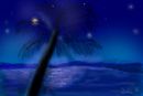 palm-tree palm-tree