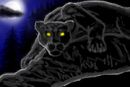 black-panther-2