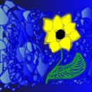 yellow-flower
