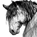 horse