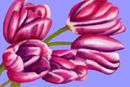 tulips-on-blue tulips-on-blue