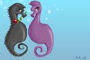 seahorse-love