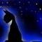 cat-in-the-night-on-th by jessejames