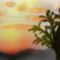 sunset-light by summersea