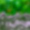 green-planet by green_mossi