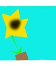 a-flower