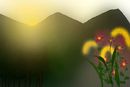 sun-rise
