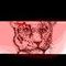 stray-cat by croate