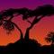 sunset-tree by loyla