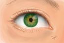 eye