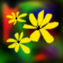 yellow-flowers