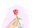 rose
