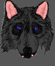 black-wolf