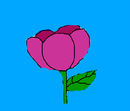 blooms