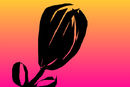 flovver