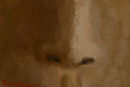 african-nose