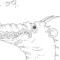 dragon by nez